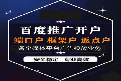 解析某某SEM服务公司的广告投放策略与效果评估